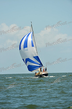 2015 Southern Bay Race Week D 314