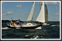 proof_2010_Vineyard_Race_0089