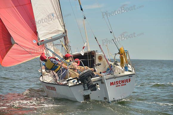 2016 Vineyard Race A_0379