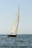 2011 Vineyard Race A 265