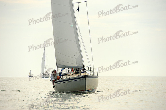 2014 Cape Charles Cup B 447