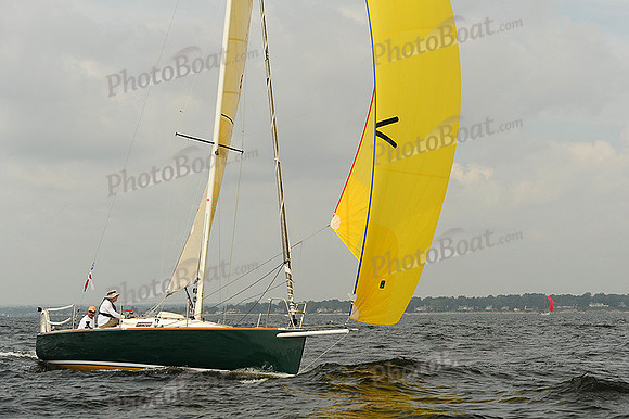 2013 Vineyard Race A 248