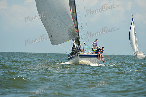 2015 Southern Bay Race Week C 1564