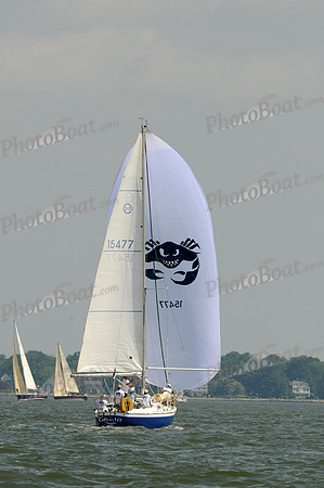 2012 Southern Bay Race Week A 457