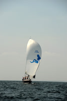 2013 Vineyard Race A 1614
