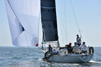 2020 Vineyard Race A_0171