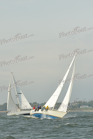 2015 Vineyard Race A 568