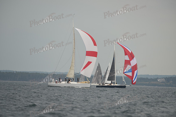 2016 Chester Race Week D_0492