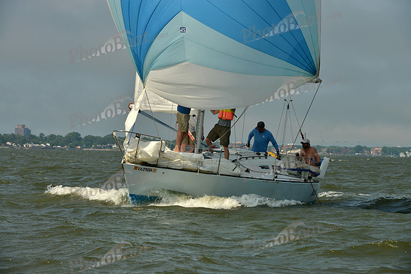 2016 Southern Bay Race Week B_0763