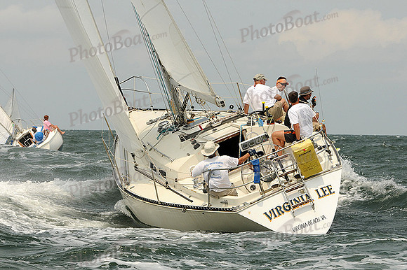 2012 Cape Charles Cup A 1367