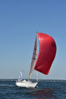 2019 Vineyard Race A_0294