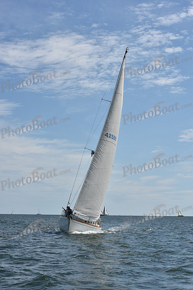 2019 Denmark Race_0358