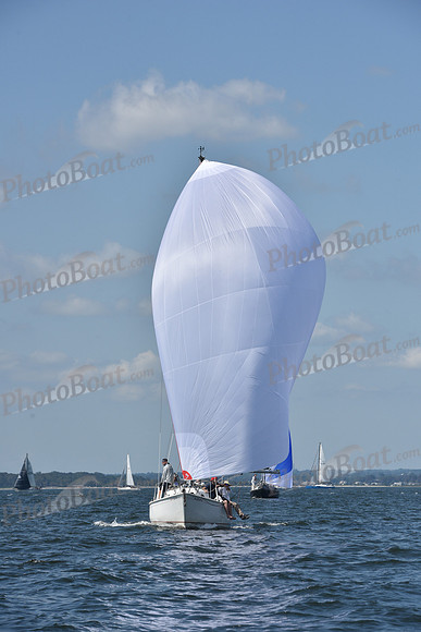 2020 Vineyard Race A_0157