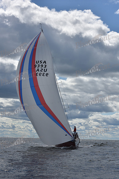 2021 Vineyard Race A 2608