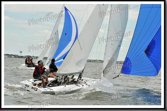proof_2010_EScows_A 952