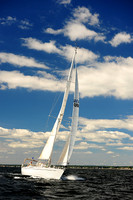 2014 Vineyard Race A 478