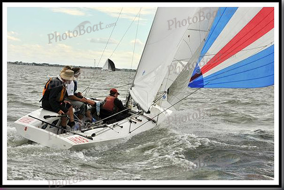 proof_2010_EScows_A 381