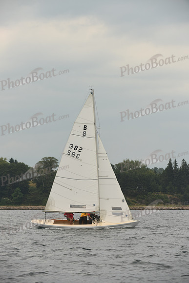 2016 Chester Race Week D_0888