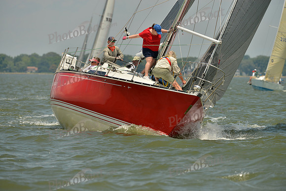 2016 Southern Bay Race Week F_1274