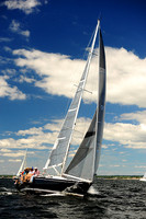 2014 Vineyard Race A 391