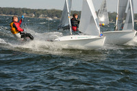 2011 505 NAs D 485