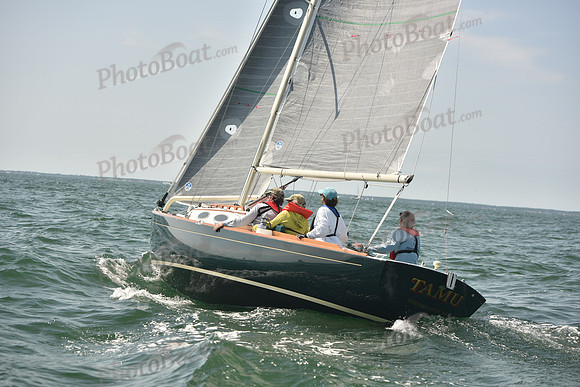 2018 Vineyard Cup A_0612