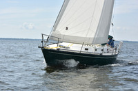 2019 Gov Cup A_1131