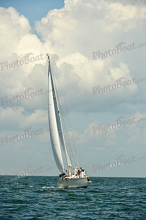 2015 Southern Bay Race Week C 926
