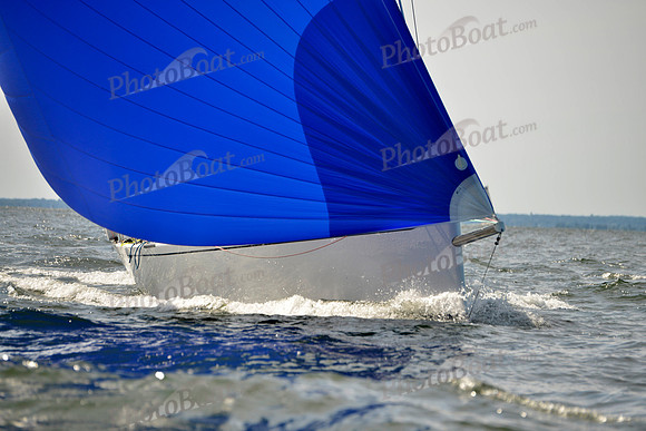 2017 Vineyard Race A_1876