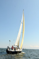 2011 Vineyard Race A 1872