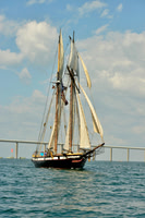 2017 St Petersburg Habana Race_1780
