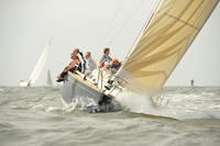 2015 Vineyard Race A 229