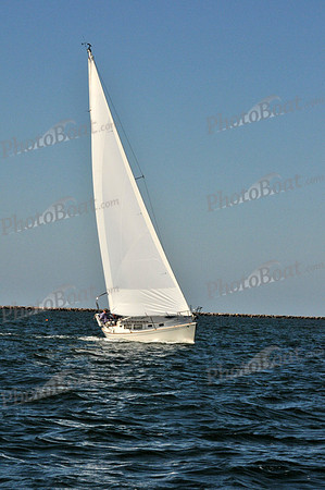 2010 Leukemia Cup 095