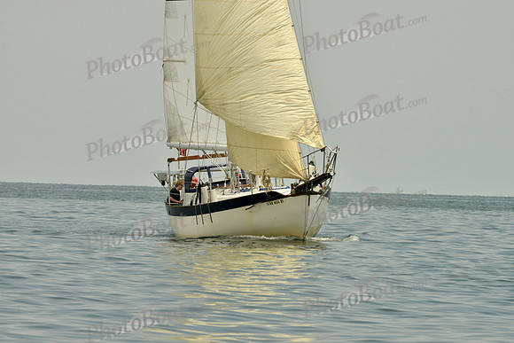 2016 Southern Bay Race Week E_0457