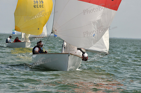 2012 Thistle Midwinters B 1389