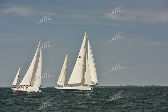2018 Vineyard Cup A_0292