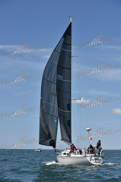 2019 Figawi_0785
