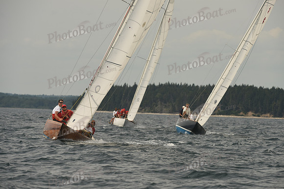 2016 Chester Race Week C_1078