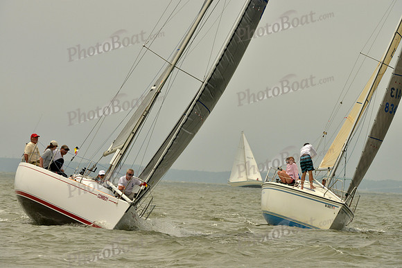 2016 Southern Bay Race Week A_1079