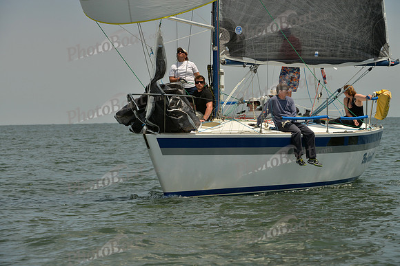 2016 Southern Bay Race Week E_0689