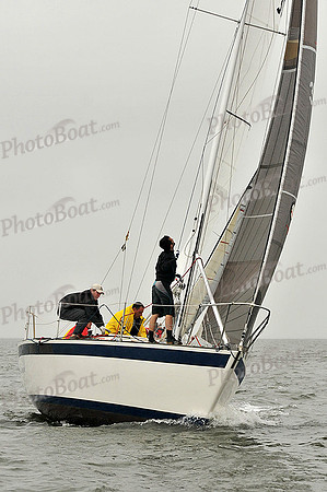 2014 Southern Bay Race Week A 291