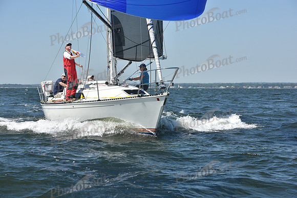 2019 Vineyard Race A_0356
