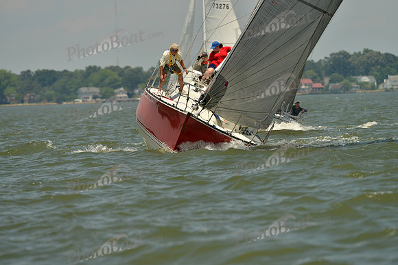 2016 Southern Bay Race Week F_1265