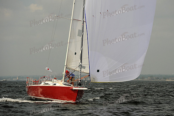 2013 Vineyard Race A 382