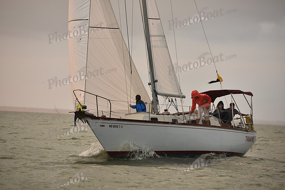 2019 Gov Cup A_3407