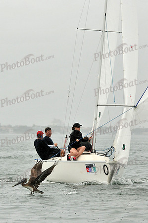 2012 StPete NOOD A 264