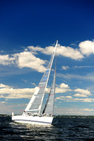 2014 Vineyard Race A 897