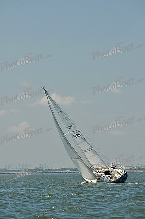 2013 Southern Bay Race Week C 1303