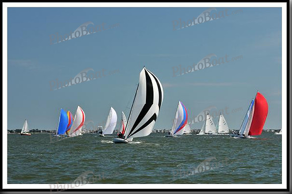 proof_2010_EScows_E 912