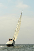 2015 Vineyard Race A 300